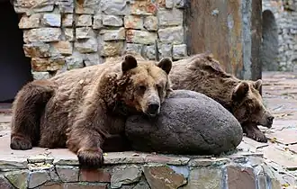 Image illustrative de l’article Zoo d'Augsbourg