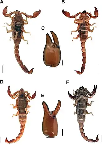 Description de cette image, également commentée ci-après