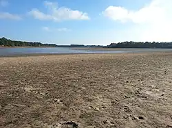 L'étang de Bellebouche à Mézières-en-Brenne, en 2016.