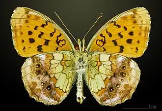 Description de cette image, également commentée ci-après