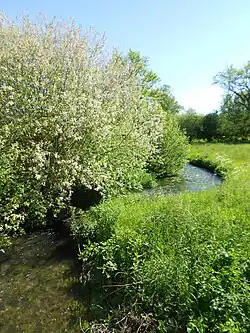 La Bresle au hameau de Villers.