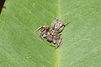 Description de cette image, également commentée ci-après