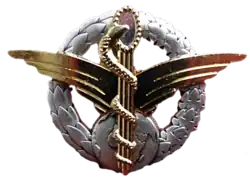 Brevet d'infirmier convoyeur de l'armée de l'air (ICvAA).