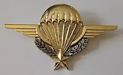 Brevet de Chef de groupe et section TAP, brevet officialisé en 2017 mais actif depuis 2016