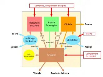 Diagramme en couleurs du schéma de fonctionnement d'une entreprise.