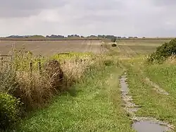 Chemin de Normanton down, près de Stonehenge : sur la gauche, trois tumuli.