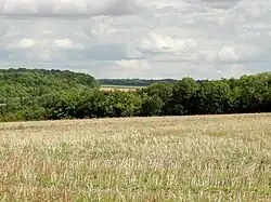 Paysage rural et agricole de la commune.