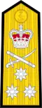 Epaulettes D'un Vice Amiral dans la Royal Navy après 2001.