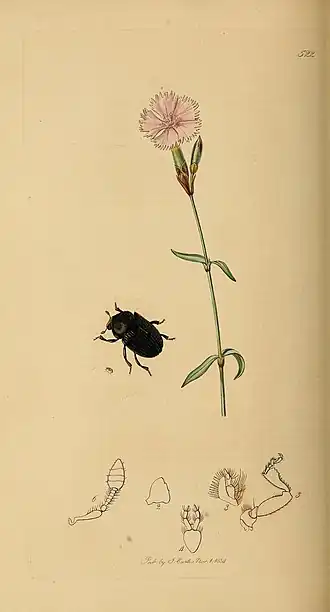 Description de cette image, également commentée ci-après