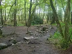 La fontaine de Barenton.