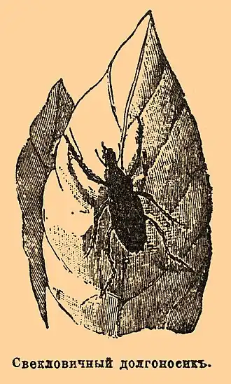 Description de l'image Brockhaus and Efron Encyclopedic Dictionary b57 096-2.jpg.