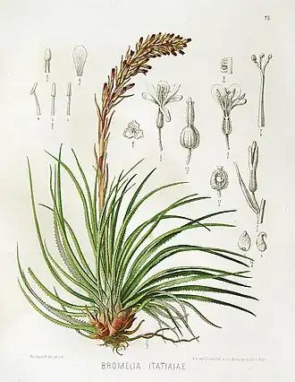 Description de cette image, également commentée ci-après