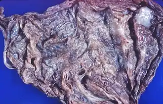 Description de cette image, également commentée ci-après