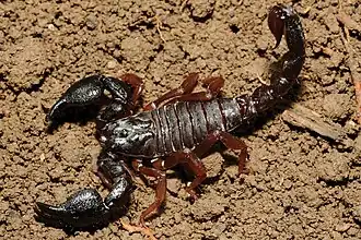 Description de cette image, également commentée ci-après