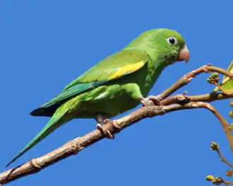 Description de cette image, également commentée ci-après