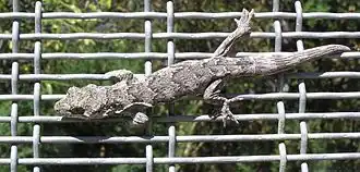 Description de cette image, également commentée ci-après