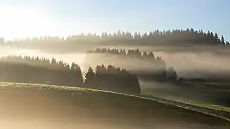 Brumes matinales à Reculfoz.