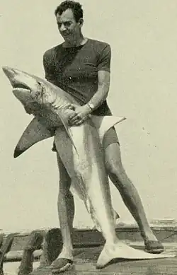 Description de l'image Bruno Vailati.jpg.