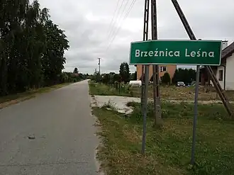 Brzeźnica Leśna