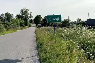 Brzegi (Mazovie)