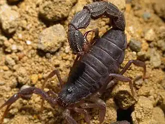 Description de cette image, également commentée ci-après