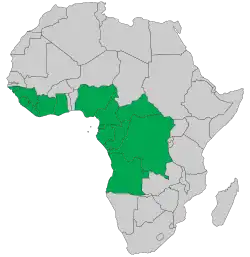 Carte de l'Afrique avec certains pays coloriés en vert