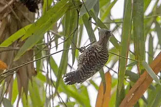 Description de cette image, également commentée ci-après