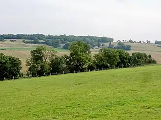 Buchet (Rhénanie-Palatinat)