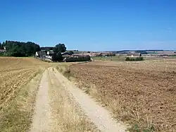 Vue du village depuis le chemin de Buhy à Ducourt.