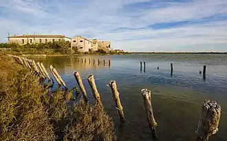 Les Salins de Frontignan.