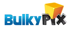 logo de Bulkypix