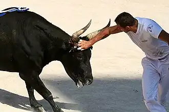 Image illustrative de l’article Sabri Allouani