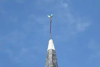 Le coq, entouré de fils de la Vierge.