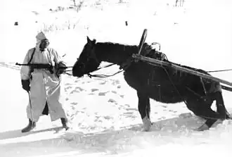 Soldat russe avec un Panjepferd durant l'hiver 1941.