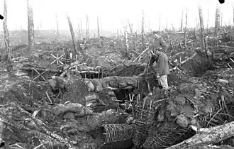 Forêt d'Argonne en octobre 1915, ravagée par les tirs d'obus.