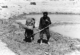 Exploitation du lœss au Tibet (Photo de 1938).
