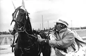 Photographie en noir et blanc avec une tête de cheval sombre et un jockey