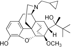Image illustrative de l’article Buprénorphine