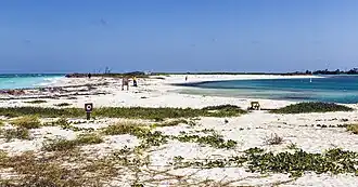 Image illustrative de l’article Bush Key