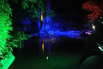 Jardin japonais de nuit