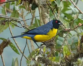 Description de cette image, également commentée ci-après