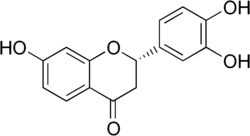 Image illustrative de l’article Butine