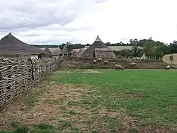 Elevage de moutons loaghtans