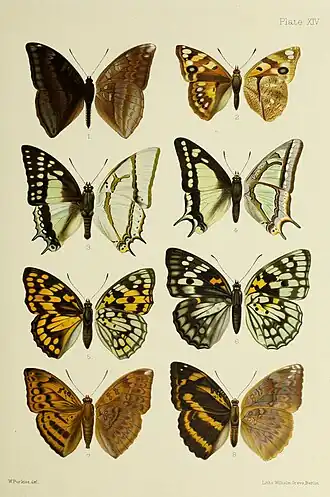 Description de cette image, également commentée ci-après