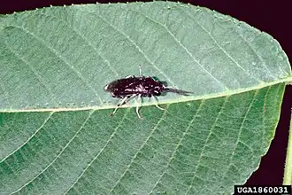 Description de cette image, également commentée ci-après