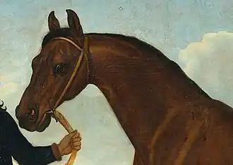 Peinture de la tête d'un cheval roux et noir