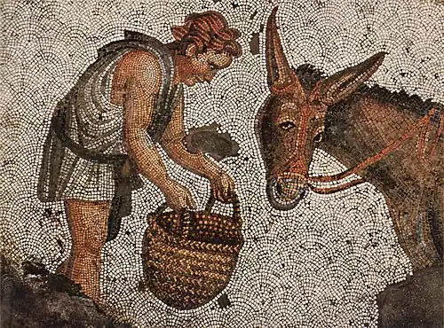 Image illustrative de l’article Métamorphoses (Apulée)