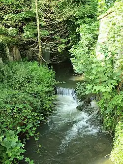 Ru des Marchands à Cézy.