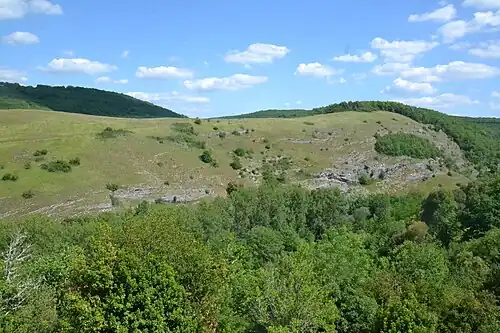Paysage de pelouse rase et d'affleurement calcaire (la Côte pelée, Chasteaux).