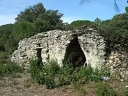 Tine (à droite) et capitelle attenante.